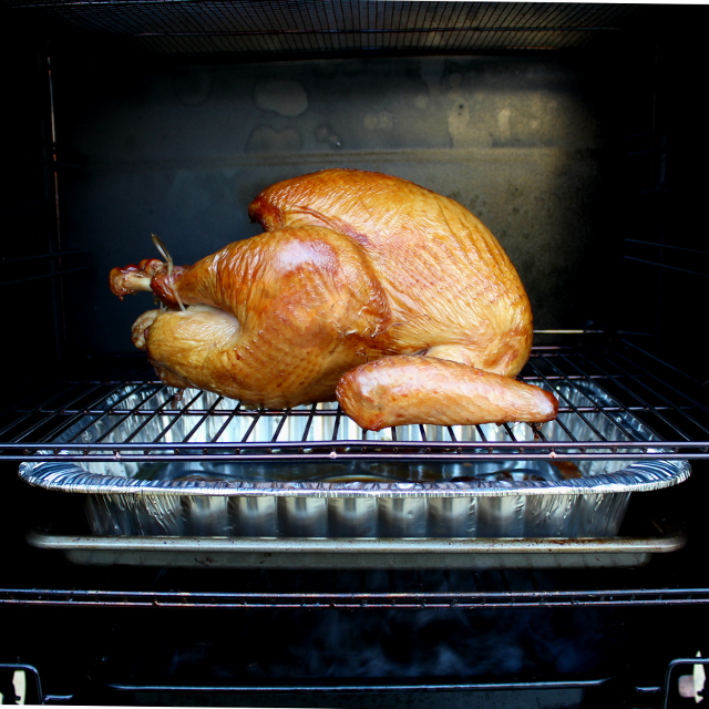 Barbecue Turkey