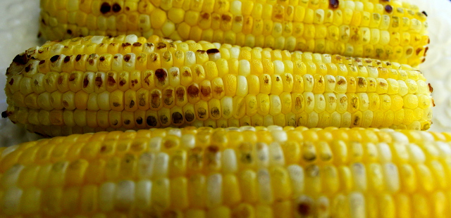 Grilled Corn on a Plate